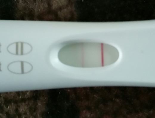 First Response Early Pregnancy Test, 12 Days Post Ovulation