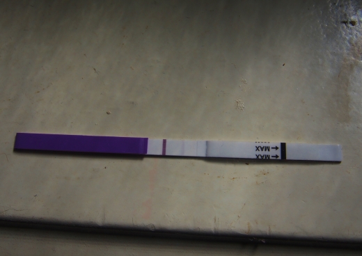 Home Pregnancy Test, 12 Days Post Ovulation