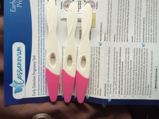 Home Pregnancy Test