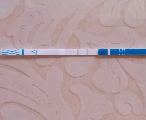 Generic Pregnancy Test, 8 Days Post Ovulation