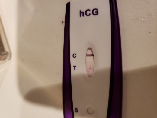 Home Pregnancy Test