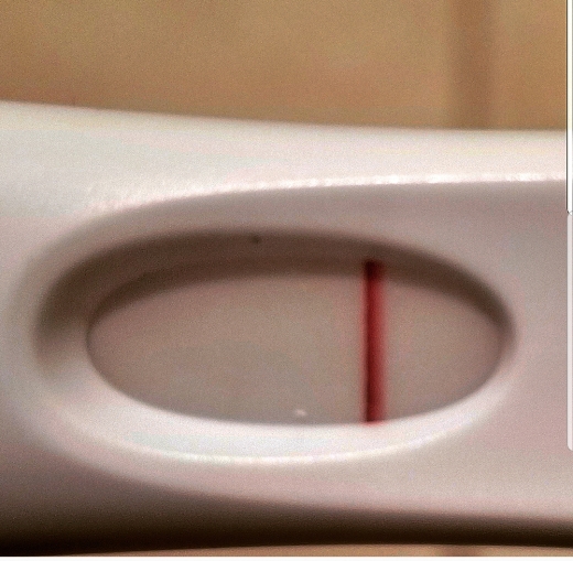 Home Pregnancy Test