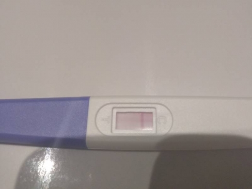 Home Pregnancy Test