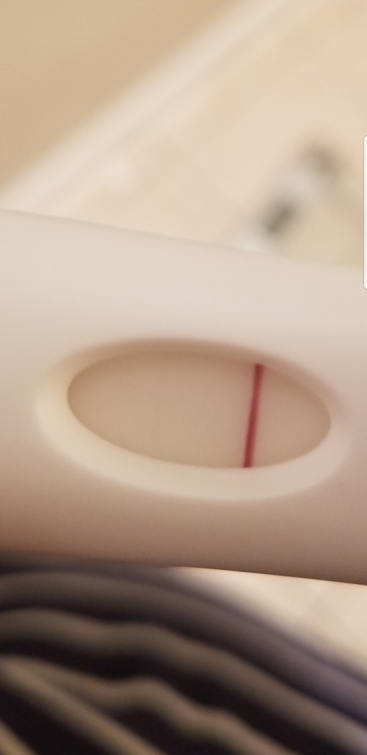 Home Pregnancy Test