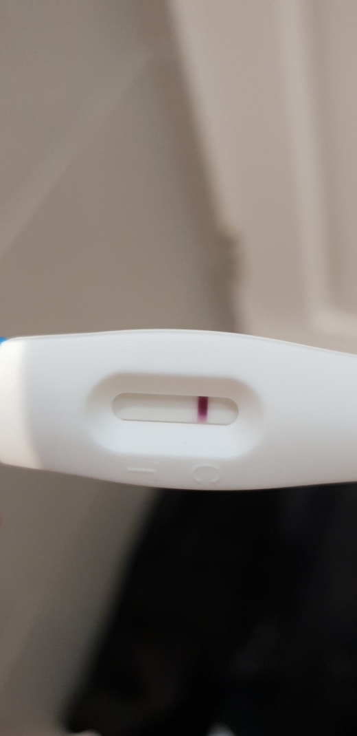 Home Pregnancy Test