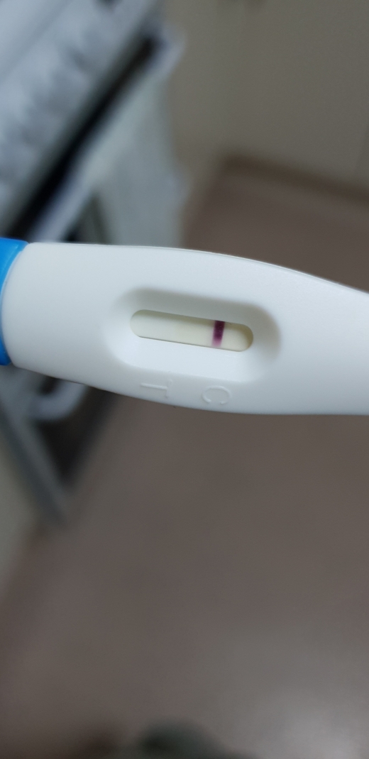 Home Pregnancy Test