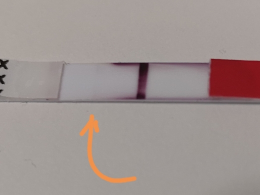 Generic Pregnancy Test, 9 Days Post Ovulation, FMU, Cycle Day 23