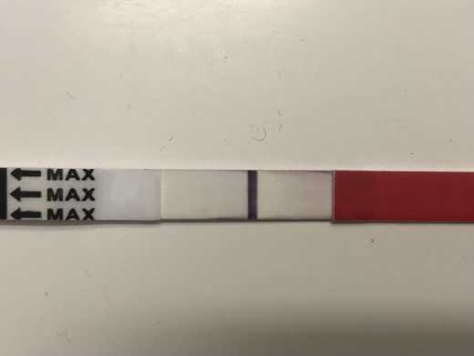 Wondfo Test Strips Pregnancy Test, 6 Days Post Ovulation, Cycle Day 20