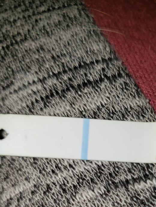 Generic Pregnancy Test, 8 Days Post Ovulation