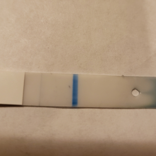 Generic Pregnancy Test, 10 Days Post Ovulation