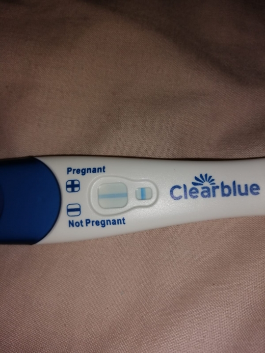 Clearblue Plus Pregnancy Test