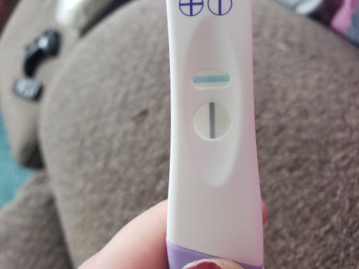 Home Pregnancy Test