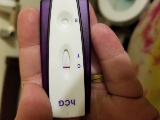 Home Pregnancy Test