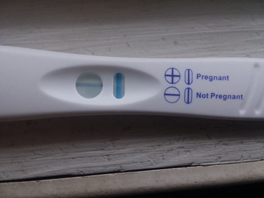 Generic Pregnancy Test, FMU