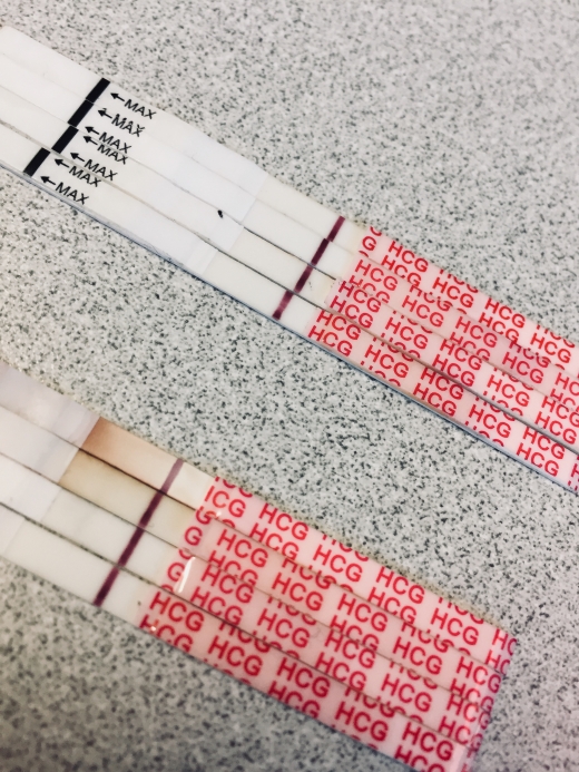 Wondfo Test Strips Pregnancy Test