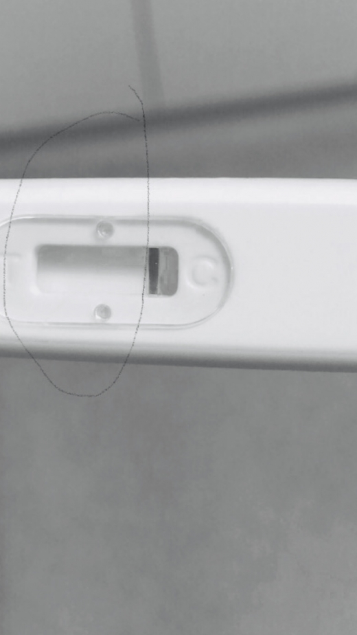 Home Pregnancy Test