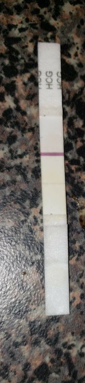 New Choice Pregnancy Test, 13 Days Post Ovulation