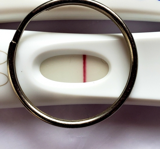 First Response Early Pregnancy Test, 10 Days Post Ovulation, FMU, Cycle Day 26