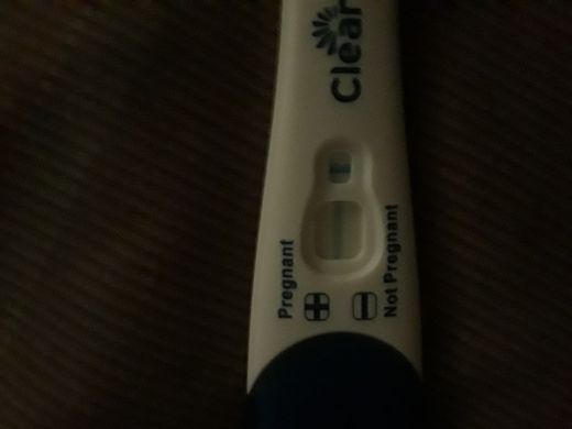 Clearblue Plus Pregnancy Test