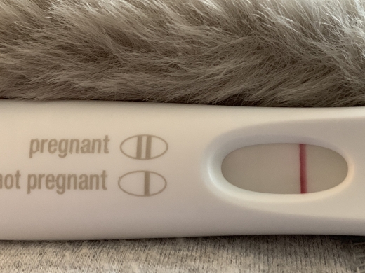 First Response Early Pregnancy Test