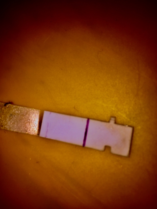 Home Pregnancy Test, 14 Days Post Ovulation, Cycle Day 29