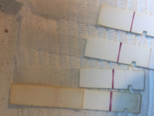 Home Pregnancy Test, Cycle Day 30