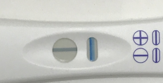 CVS One Step Pregnancy Test, 12 Days Post Ovulation, FMU, Cycle Day 24