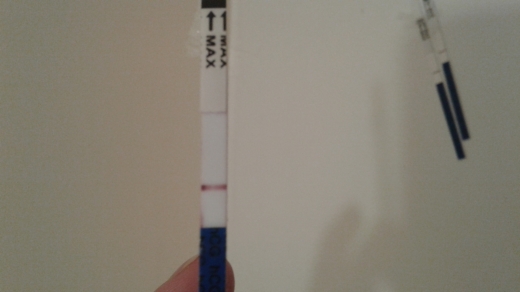 Home Pregnancy Test