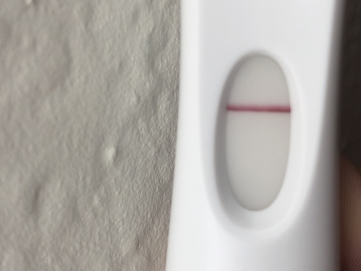 Home Pregnancy Test