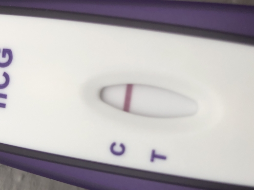 Home Pregnancy Test