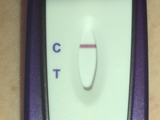 Home Pregnancy Test