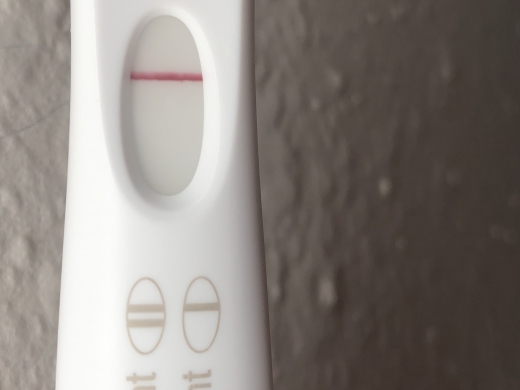 Home Pregnancy Test