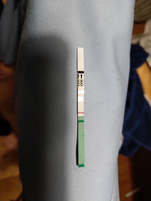Home Pregnancy Test