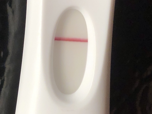 Home Pregnancy Test