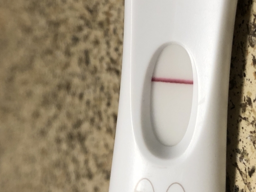 Home Pregnancy Test