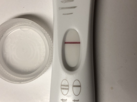 Home Pregnancy Test