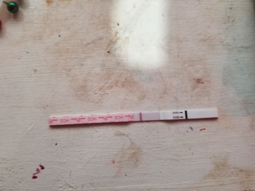 Home Pregnancy Test