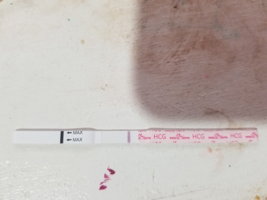 Home Pregnancy Test