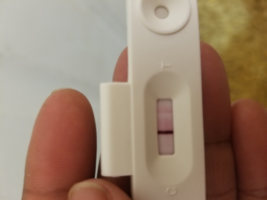 Home Pregnancy Test