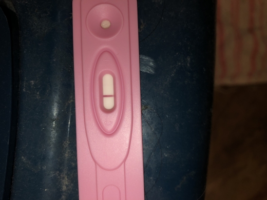 New Choice (Dollar Tree) Pregnancy Test, Cycle Day 31