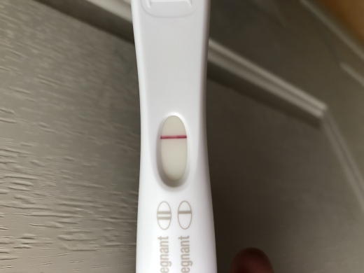 Home Pregnancy Test