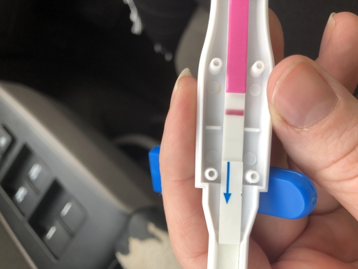 Home Pregnancy Test