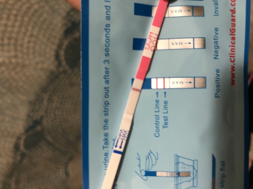 Home Pregnancy Test