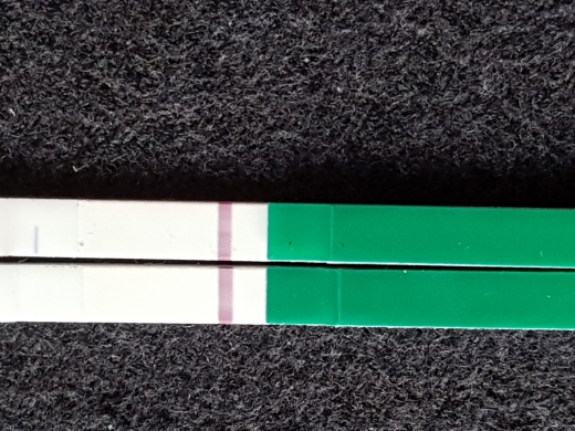 Home Pregnancy Test