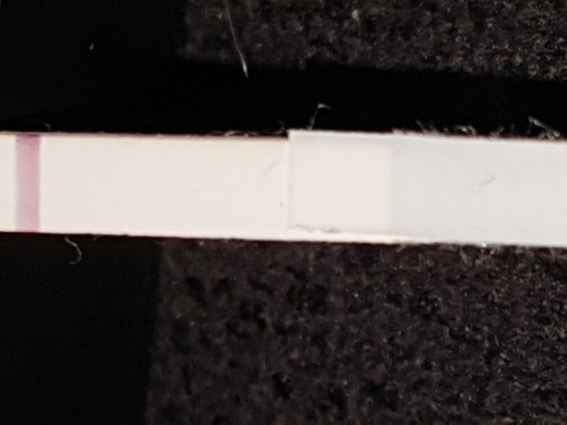 Home Pregnancy Test