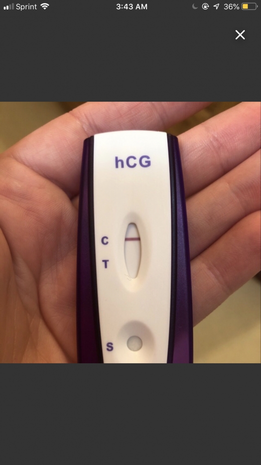 Home Pregnancy Test