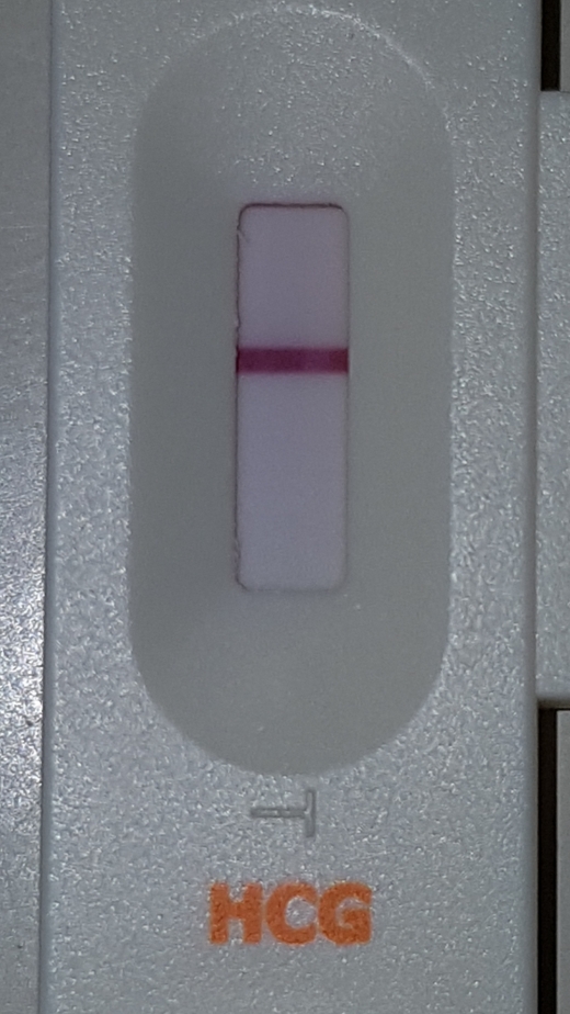 Home Pregnancy Test