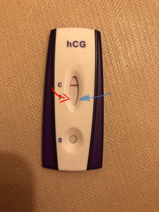 Home Pregnancy Test