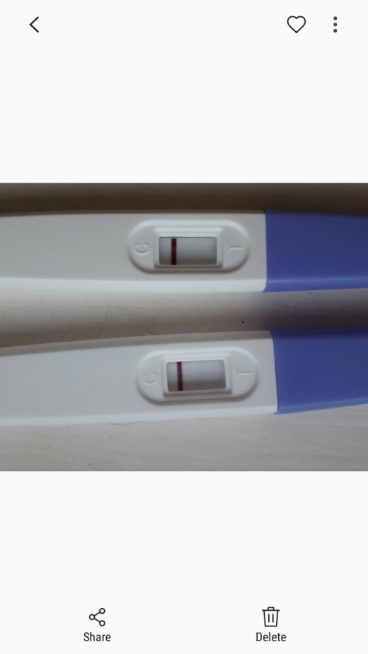 Answer Pregnancy Test, 14 Days Post Ovulation