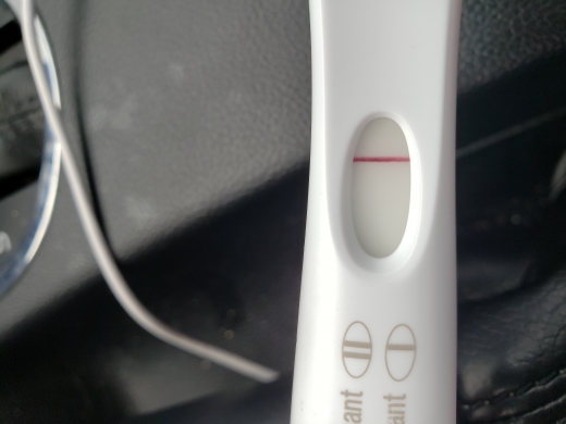 Home Pregnancy Test